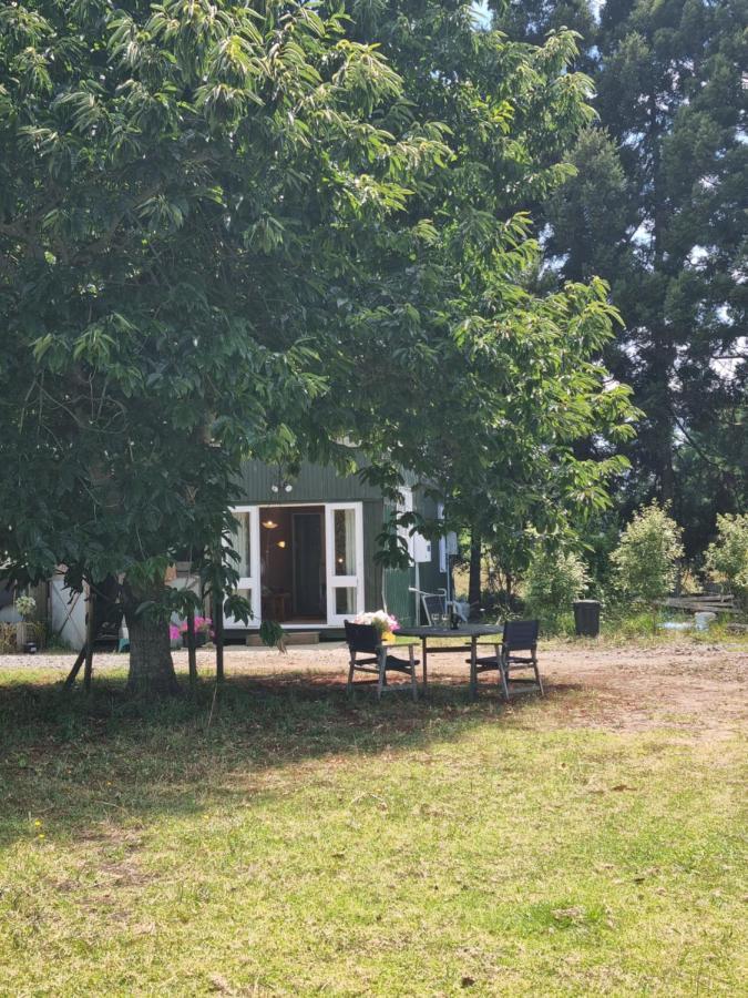 Ace B N B Bed and Breakfast Kerikeri Buitenkant foto