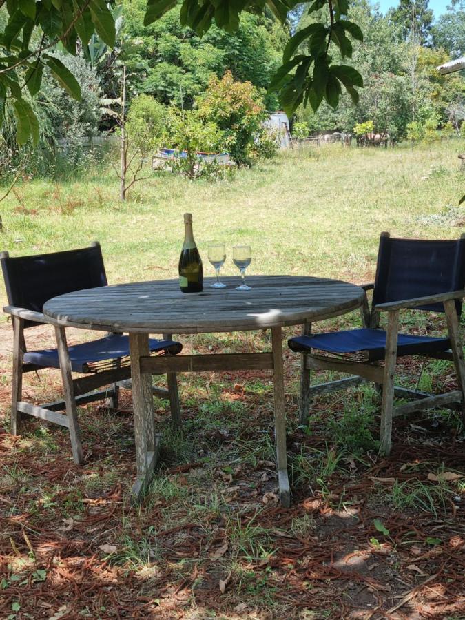 Ace B N B Bed and Breakfast Kerikeri Buitenkant foto